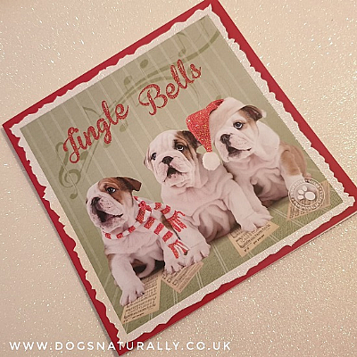 English Bulldog Jingle Bells Christmas Card